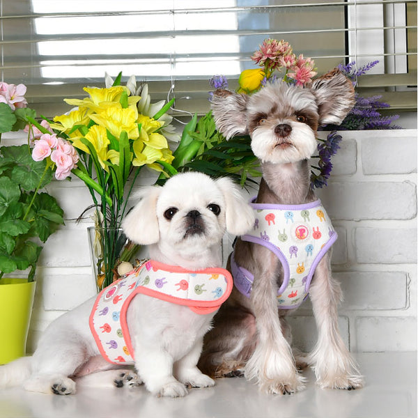 HOPPER PUPPIA DOG HARNESS - (2 COLORS)