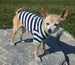 CROWN STRIPE DOG TEE