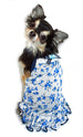 BLUE ROSE DOG DRESS