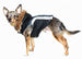 ALPINE SWISS DOG JACKET - BLACK