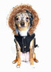 ALPINE SWISS DOG JACKET - BLACK