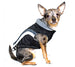 ALPINE SWISS DOG JACKET - BLACK