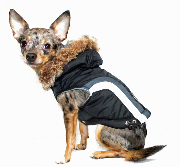 ALPINE SWISS DOG JACKET - BLACK