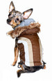 ALPINE SWISS DOG JACKET - BROWN, Coats - Bones Bizzness