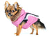 ALPINE SWISS DOG JACKET - PINK, Coats - Bones Bizzness