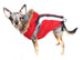 ALPINE SWISS DOG JACKET - RED, Coats - Bones Bizzness