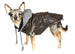 VINTAGE BOMBER DOG JACKET, Coats - Bones Bizzness