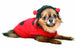 CHENILLE LADY BUG DOG SWEATER, Sweaters - Bones Bizzness