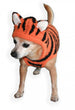 CHENILLE TIGER DOG HOODIE, Sweaters - Bones Bizzness