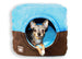DELUXE SINGLE DOOR POP TENT BED - BLUE