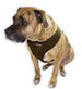 ULTRA COMFORT MESH HARNESS VEST - CHOCOLATE