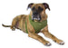 ULTRA COMFORT MESH HARNESS VEST - OLIVE GREEN
