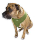 ULTRA COMFORT MESH HARNESS VEST - OLIVE GREEN