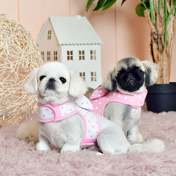 LANA PINKA HARNESS - PINK / OFF WHITE & PINK (2 COLORS)