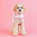 LANA PINKA HARNESS - PINK / OFF WHITE & PINK (2 COLORS)