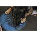 ECO-FRIENDLY DOG MAT/BED  - "RECTANGLE SAND DOLLAR ON BLACK OLIVE (IN SLATE)", Beds - Bones Bizzness