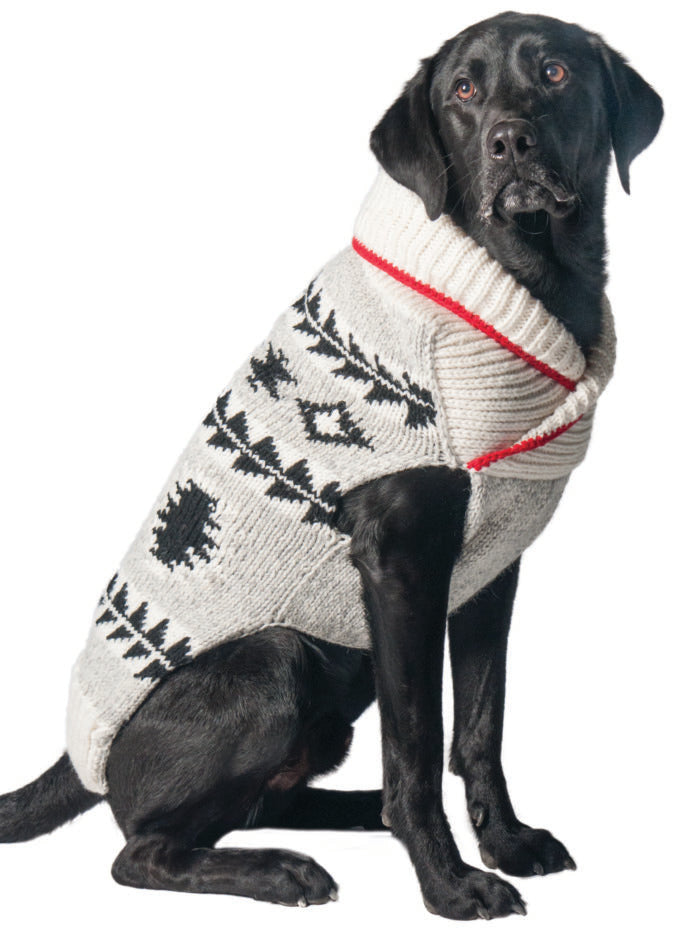 JACKSON WOOL DOG SWEATER