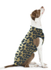 LEOPARD GOLD PAW STRETCH DOG FLEECE, Sweaters - Bones Bizzness