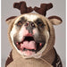 MOOSEY HOODIE DOG SWEATER - Bones Bizzness