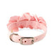 SUSAN LANCI TINKIES GARDEN DOG COLLAR- (53 COLORS), Collars - Bones Bizzness
