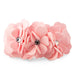 SUSAN LANCI TINKIES GARDEN DOG COLLAR- (42 COLORS), Collars - Bones Bizzness