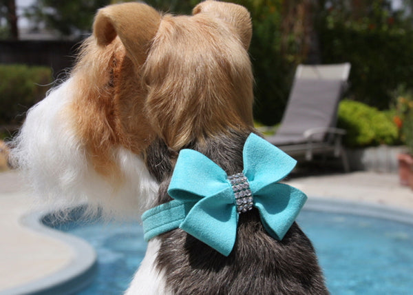 BIMINI BLUE NOUVEAU CRYSTAL BOW DOG COLLARS, Collars - Bones Bizzness