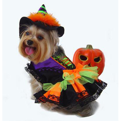 HALLOWEEN WITCH DOG COSTUME, Costume - Bones Bizzness