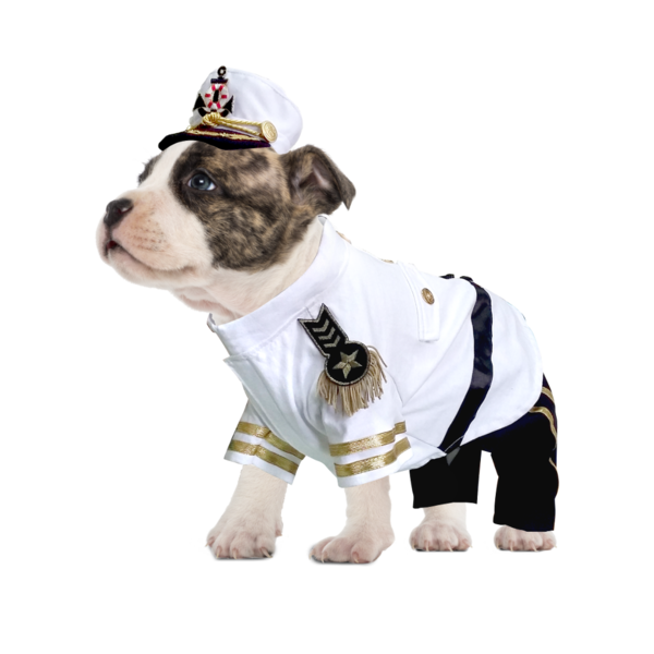 YACHT ADMIRAL COSTUME DOG COSTUME, Costume - Bones Bizzness