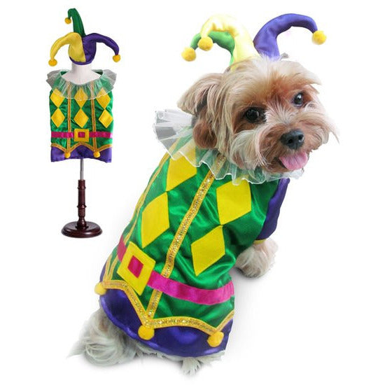 HARLEQUIN MARDI GRAS DOG COSTUME, Costume - Bones Bizzness