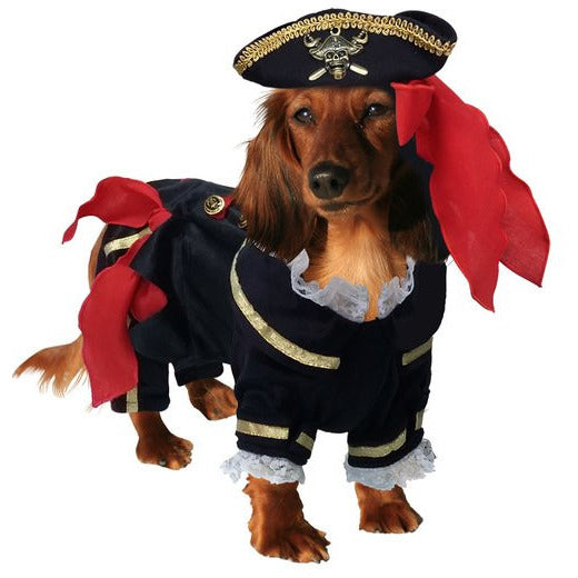 BUCCANEER PIRATE DOG COSTUME, Costume - Bones Bizzness