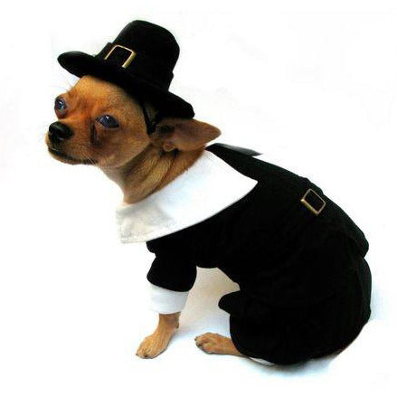 PILGRIM BOY DOG COSTUME, Costume - Bones Bizzness