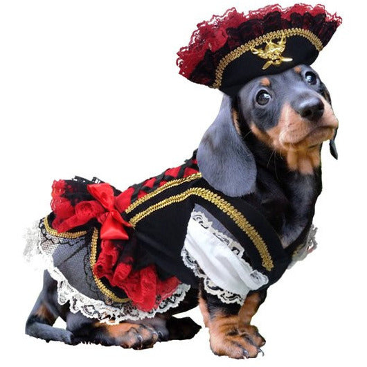 SWASHBUCKLER PIRATE DOG COSTUME, Costume - Bones Bizzness