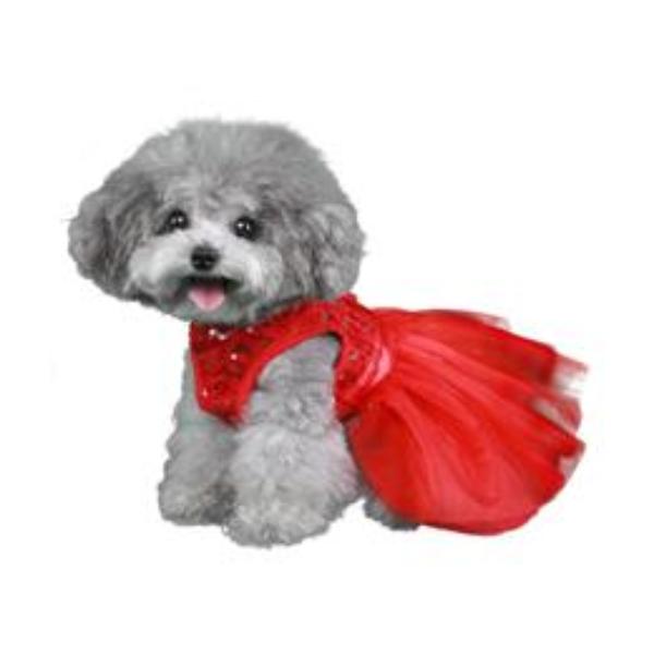 CASANDRA DOG DRESS, DRESS - Bones Bizzness