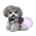 CAROLINE PARTY DOG DRESS, DRESS - Bones Bizzness