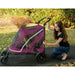 NO-ZIP EXPEDITION PET STROLLER - BOYSENBERRY, Strollers - Bones Bizzness