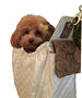 GIGI SLING DOG BAG - QUILTED IVORY, Carriers - Bones Bizzness