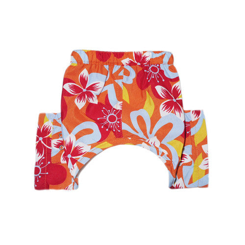 TASMANIA DOG SWIM TRUNKS, Swim Shop - Bones Bizzness