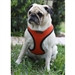 PUPPIA SOFT MESH DOG HARNESS, Harness - Bones Bizzness