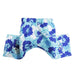 MYKONOS DOG SWIM TRUNKS, Swim Shop - Bones Bizzness