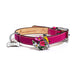 HOT PINK BIRDIE DOG LEASH, Leash - Bones Bizzness