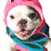 PINK PIGGY HOODIE DOG SWEATER - Bones Bizzness