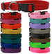 CUSTOM EMBROIDERED NYLON DOG COLLARS (16 COLORS), Collars - Bones Bizzness