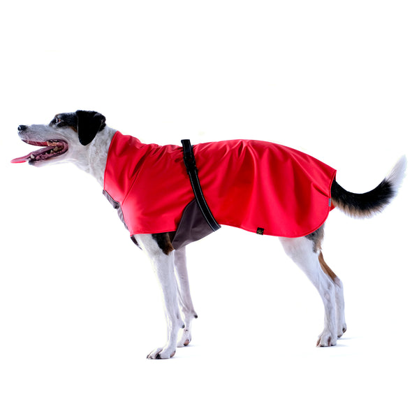 RED/BLACK RAIN PAW DOG COAT, Coats - Bones Bizzness