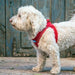 PLUSH STEP IN AIR MESH HARNESS - RED, Harness - Bones Bizzness