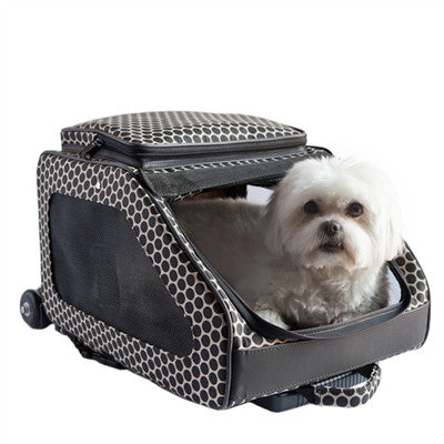 RIO ON WHEELS - REVERSE NOIR 3-IN-1 DOG/PET CARRIER, Carriers - Bones Bizzness