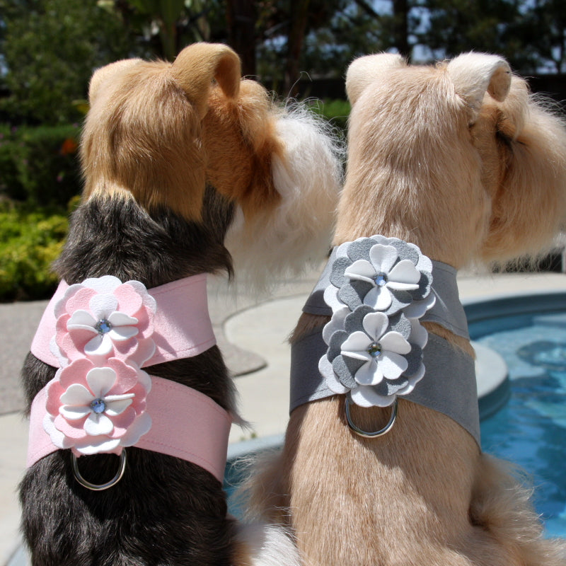 SPECIAL OCCASION TINKIE HARNESS - PUPPY PINK & PLATINUM, Harness - Bones Bizzness