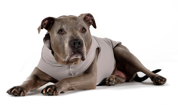 SILVER GREY SANTA FE DOG PULLOVER, Sweaters - Bones Bizzness