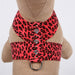 SUSAN LANCI TINKIE CRYSTAL PAW HARNESS - 42 COLORS, Harness - Bones Bizzness