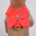 NOUVEAU BOW TINKIE DOG HARNESS - (42 COLORS), Harness - Bones Bizzness