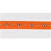 CRYSTAL PAWS ULTRASUEDE DOG COLLAR BY SUSAN LANCI - (53 COLORS), Collars - Bones Bizzness